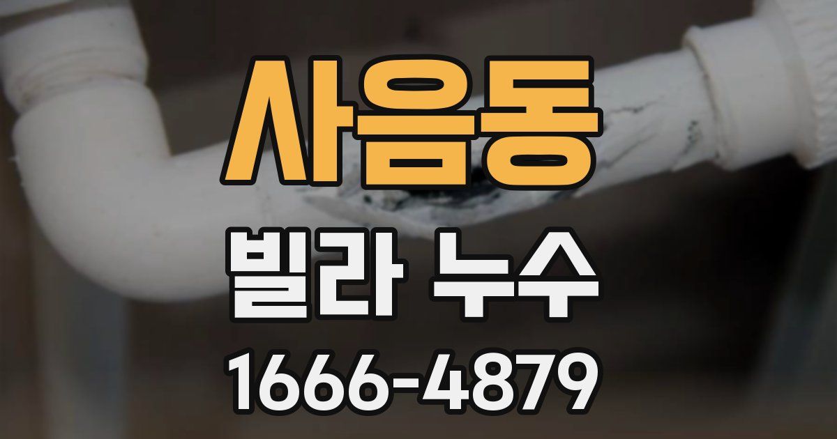 사음동 빌라 누수