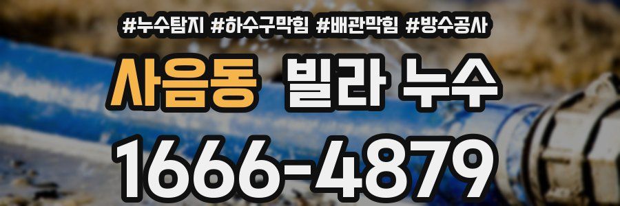 사음동 빌라 누수