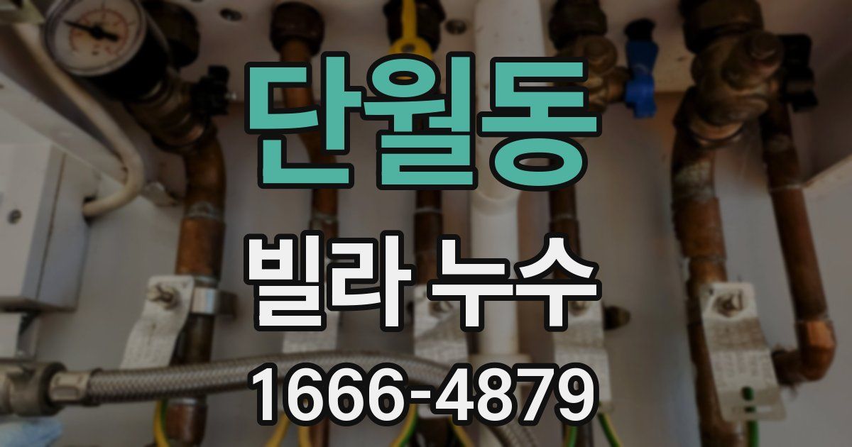단월동 빌라 누수