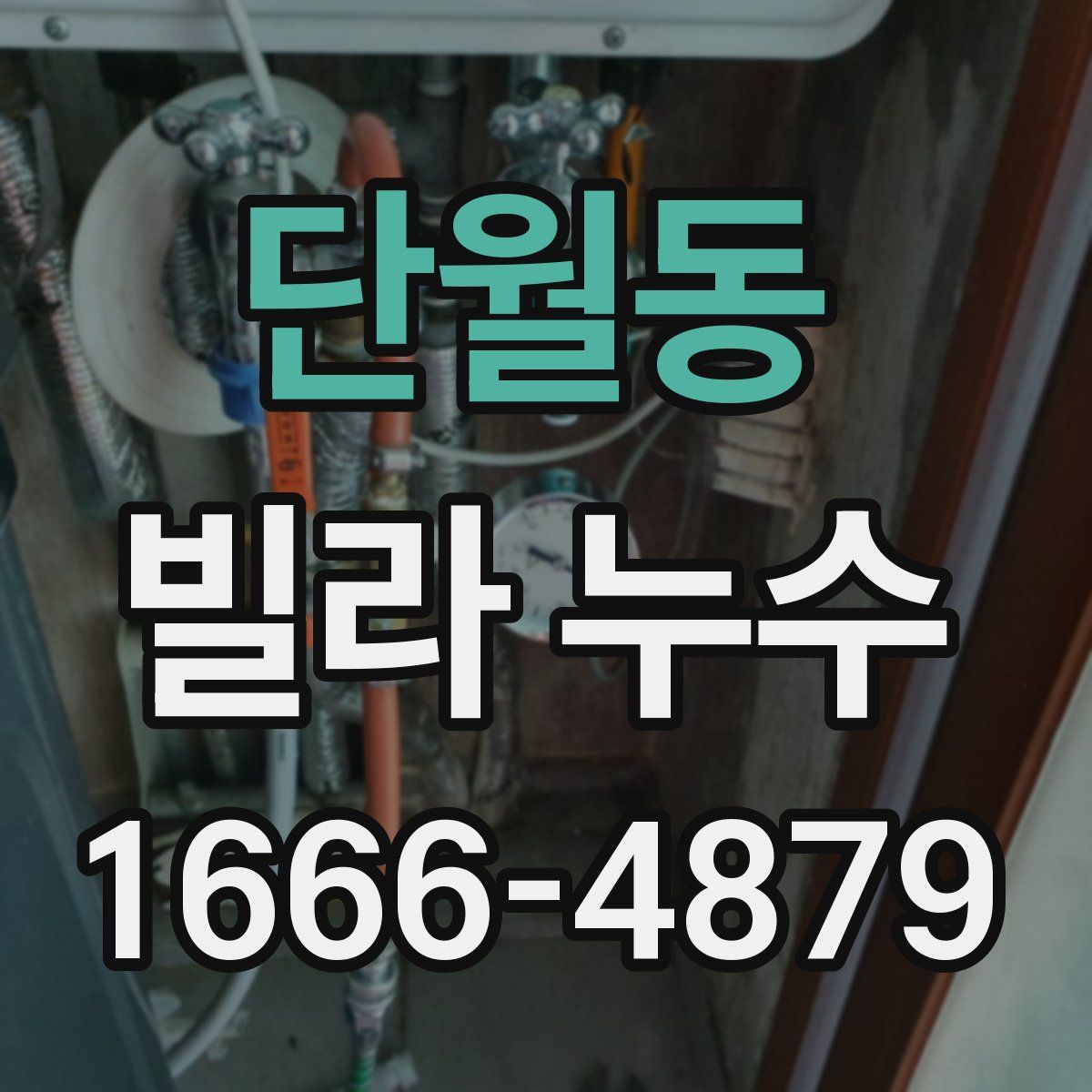 단월동 빌라 누수