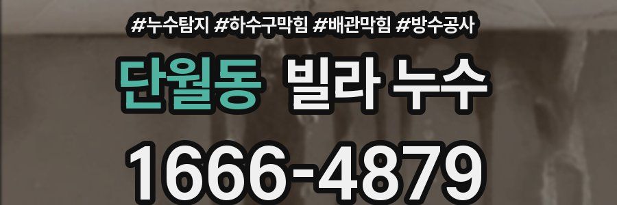 단월동 빌라 누수
