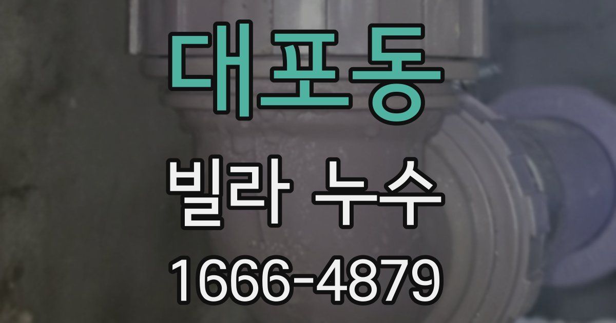 대포동 빌라 누수