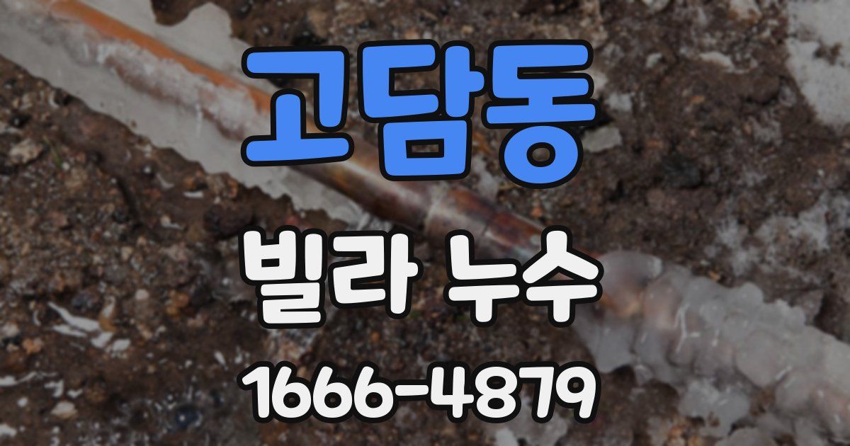 고담동 빌라 누수