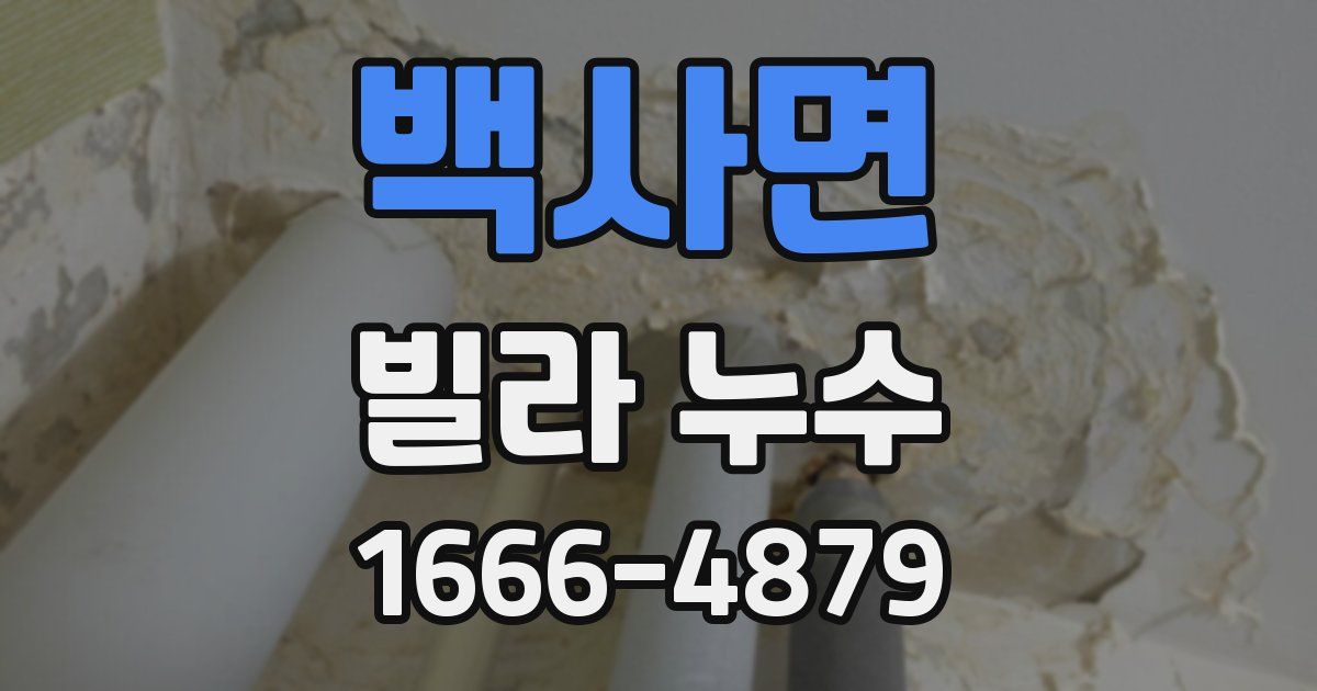 백사면 빌라 누수