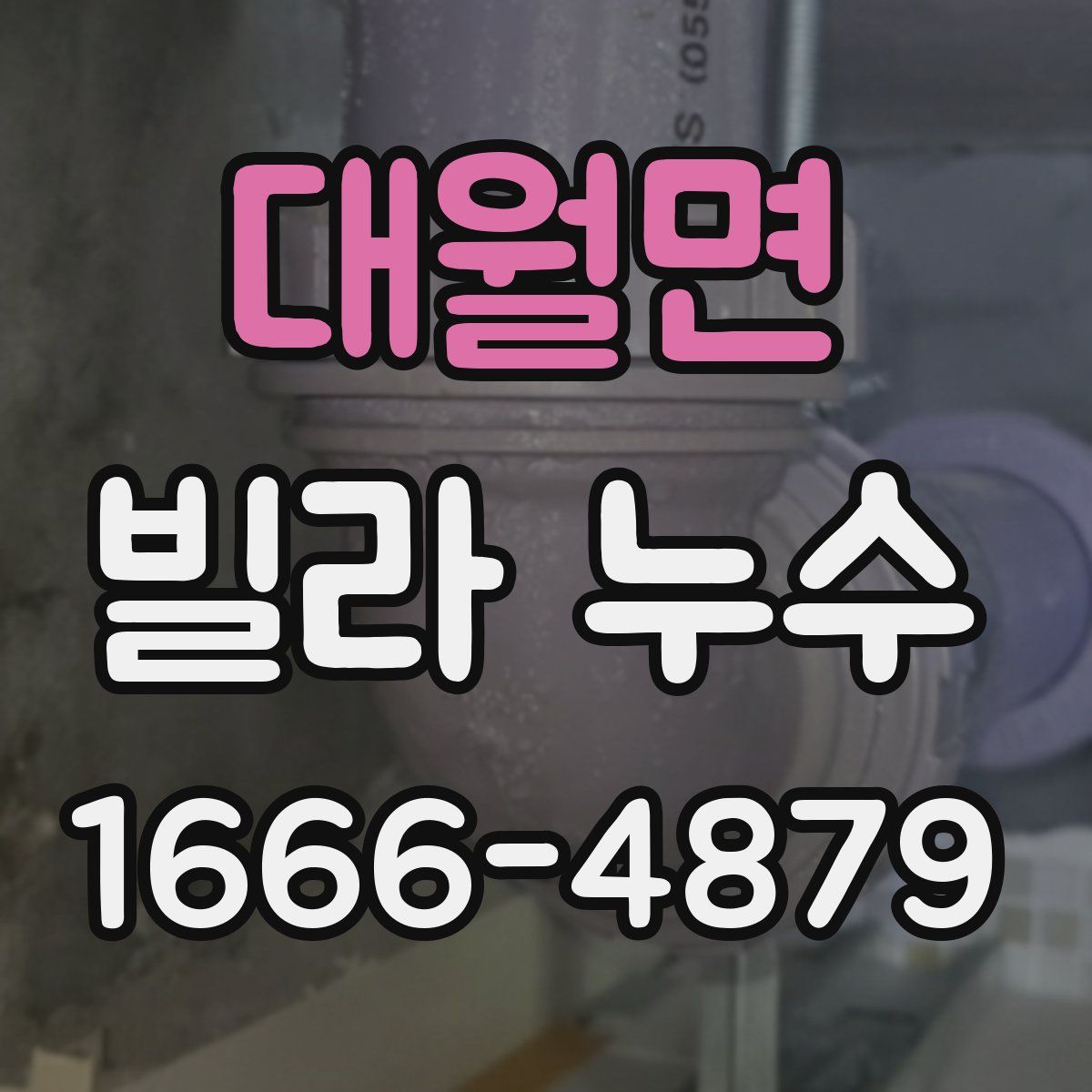 대월면 빌라 누수