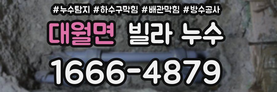 대월면 빌라 누수
