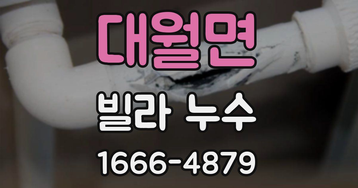 대월면 빌라 누수