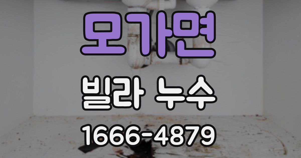 모가면 빌라 누수