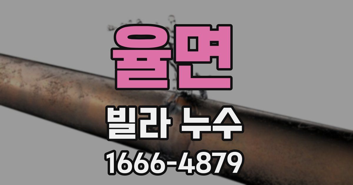 율면 빌라 누수