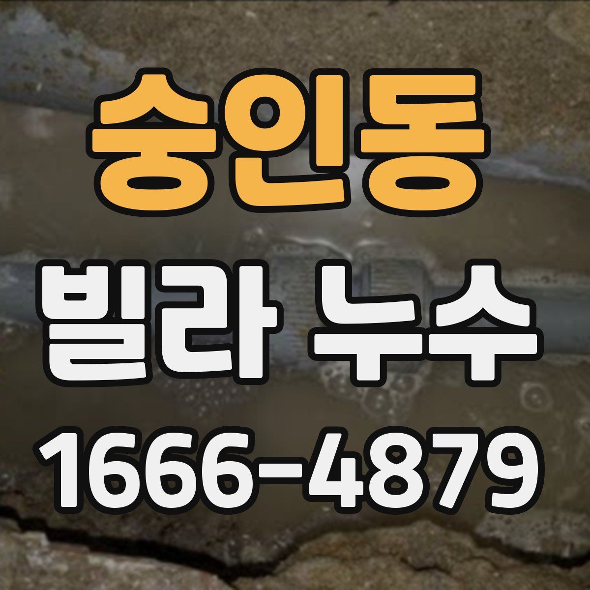 숭인동 빌라 누수