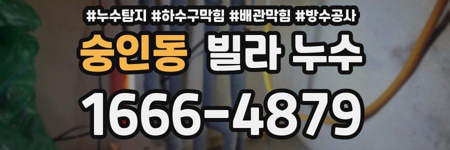 숭인동 빌라 누수