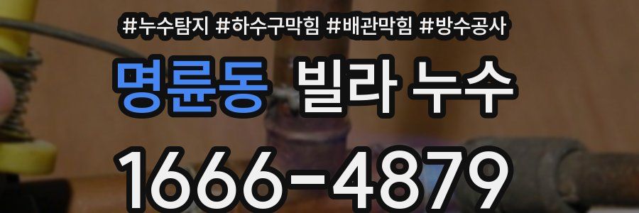 명륜동 빌라 누수