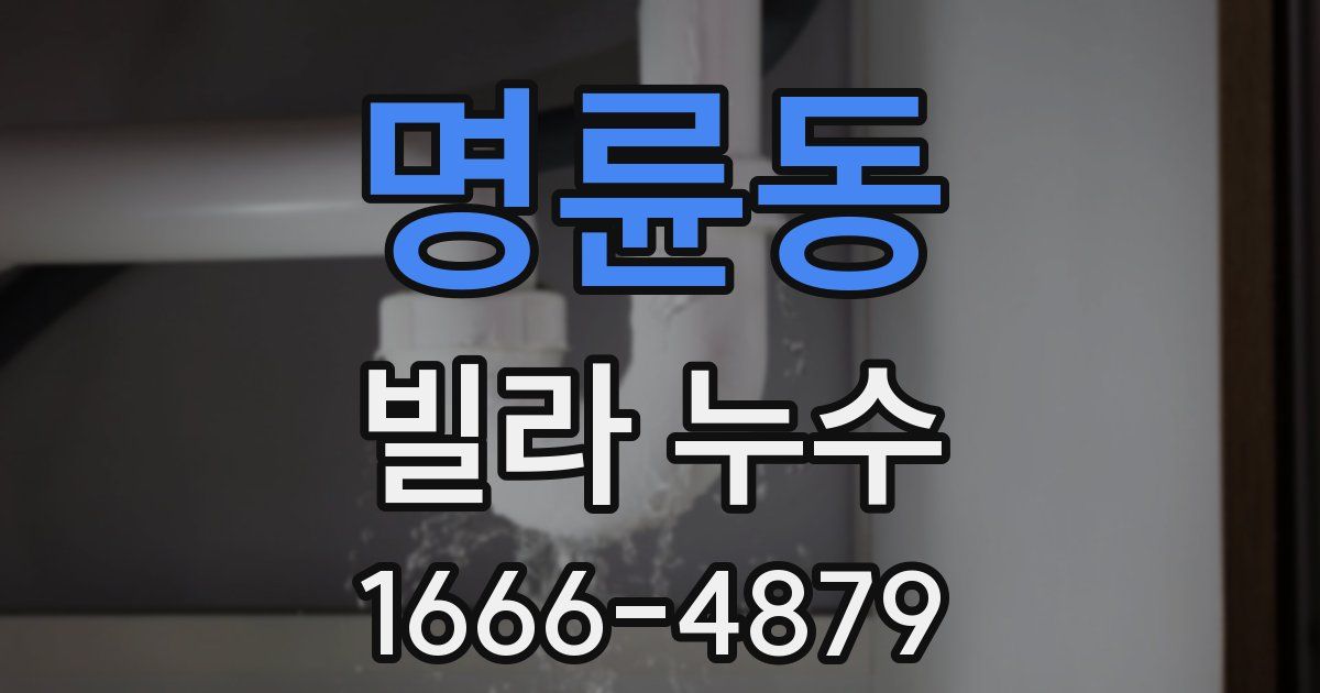 명륜동 빌라 누수