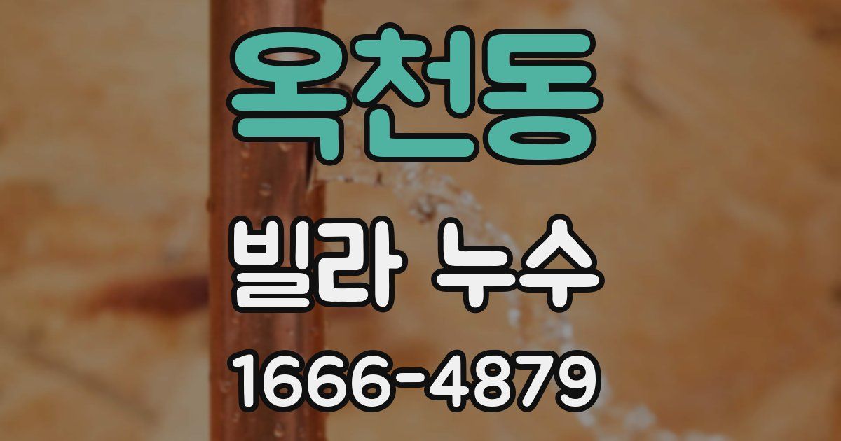 옥천동 빌라 누수