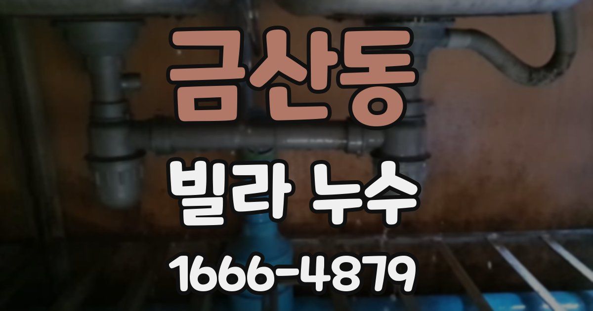 금산동 빌라 누수