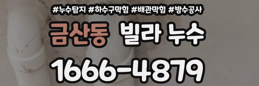 금산동 빌라 누수