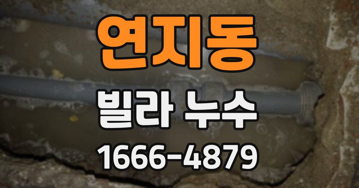 연지동 빌라 누수