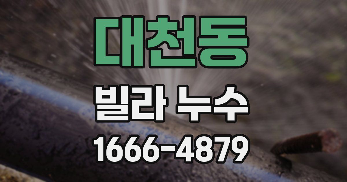 대천동 빌라 누수