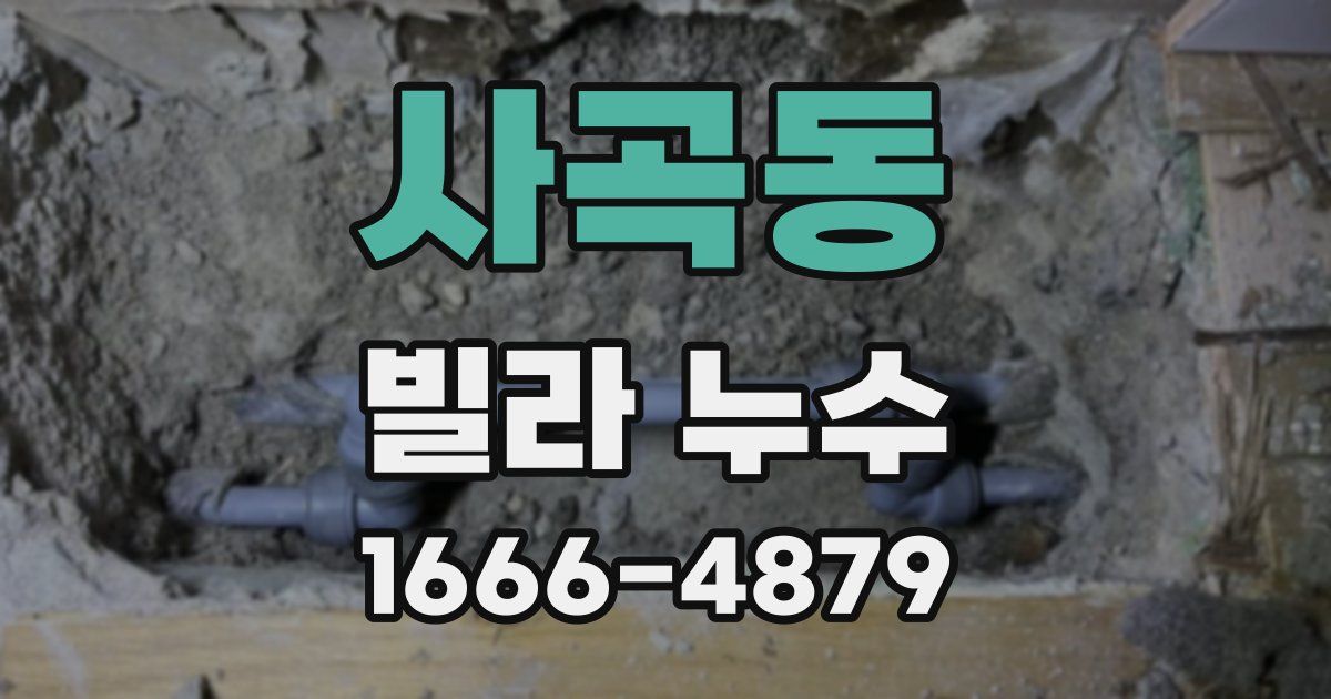 사곡동 빌라 누수