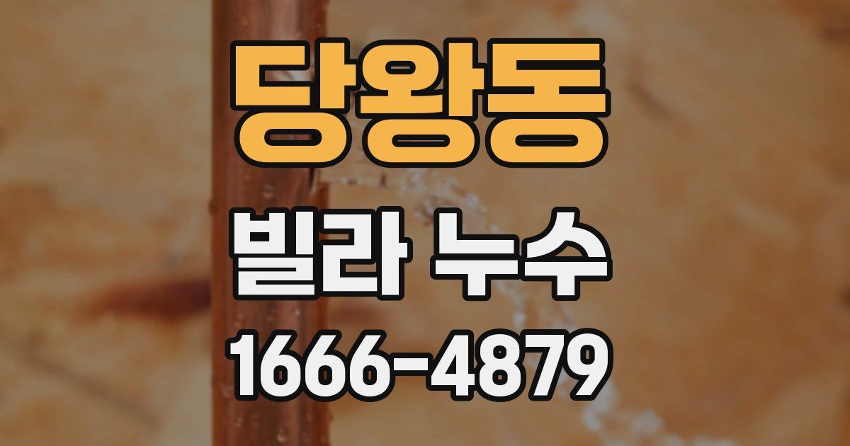 당왕동 빌라 누수