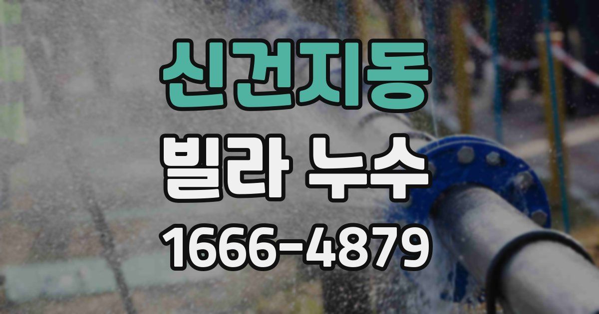 신건지동 빌라 누수