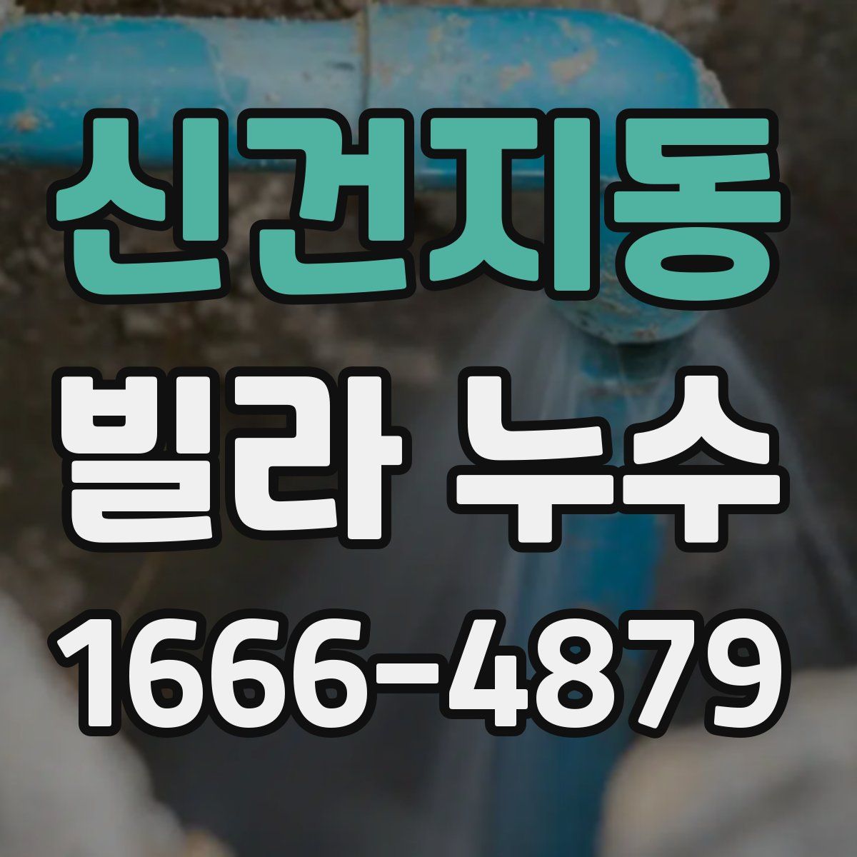 신건지동 빌라 누수