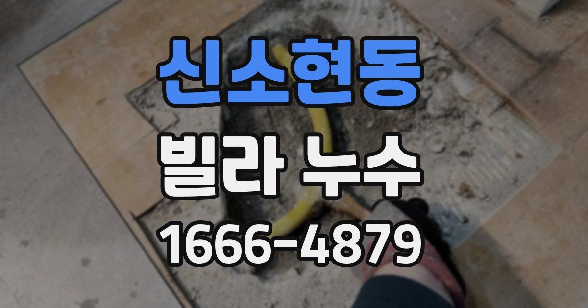 신소현동 빌라 누수