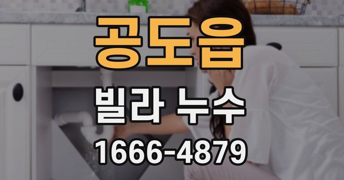 공도읍 빌라 누수