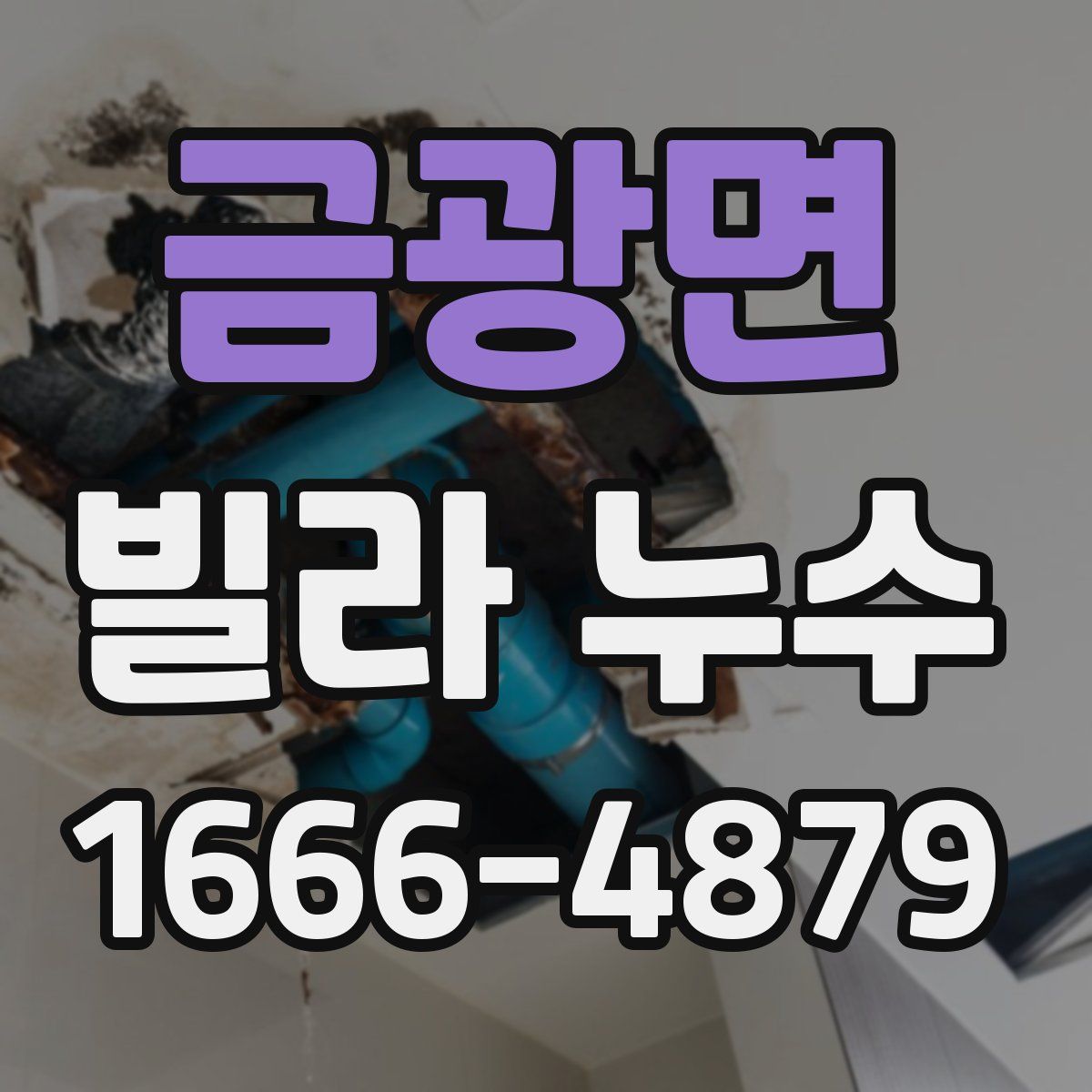 금광면 빌라 누수