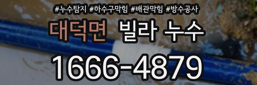 대덕면 빌라 누수