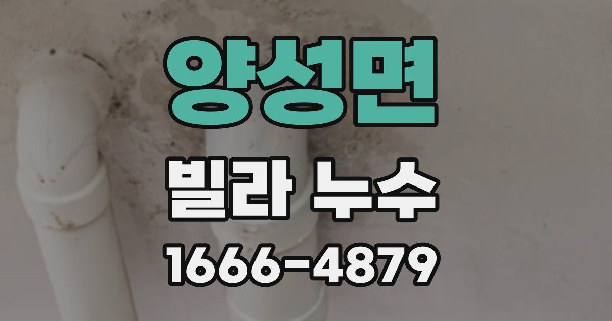 양성면 빌라 누수