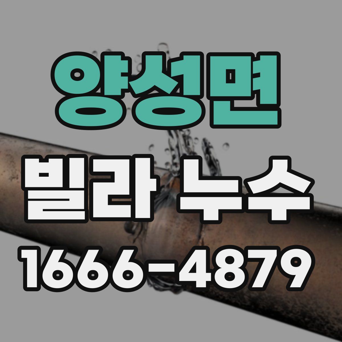 양성면 빌라 누수