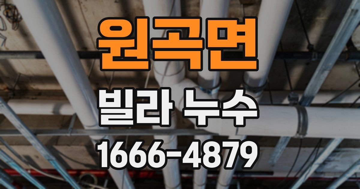 원곡면 빌라 누수
