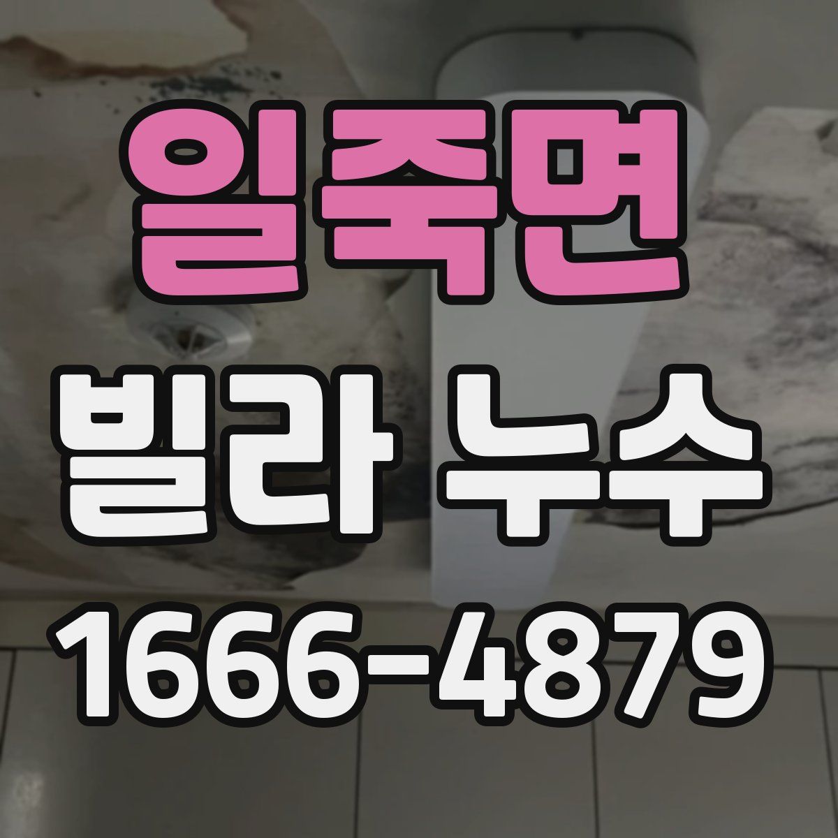 일죽면 빌라 누수