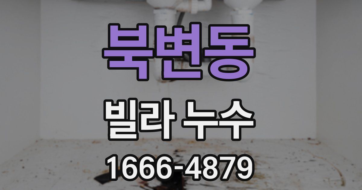 북변동 빌라 누수