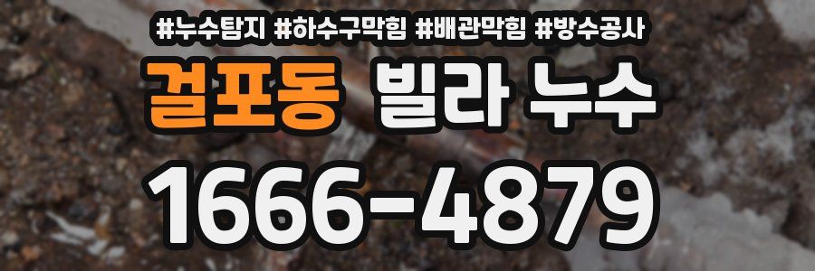 걸포동 빌라 누수
