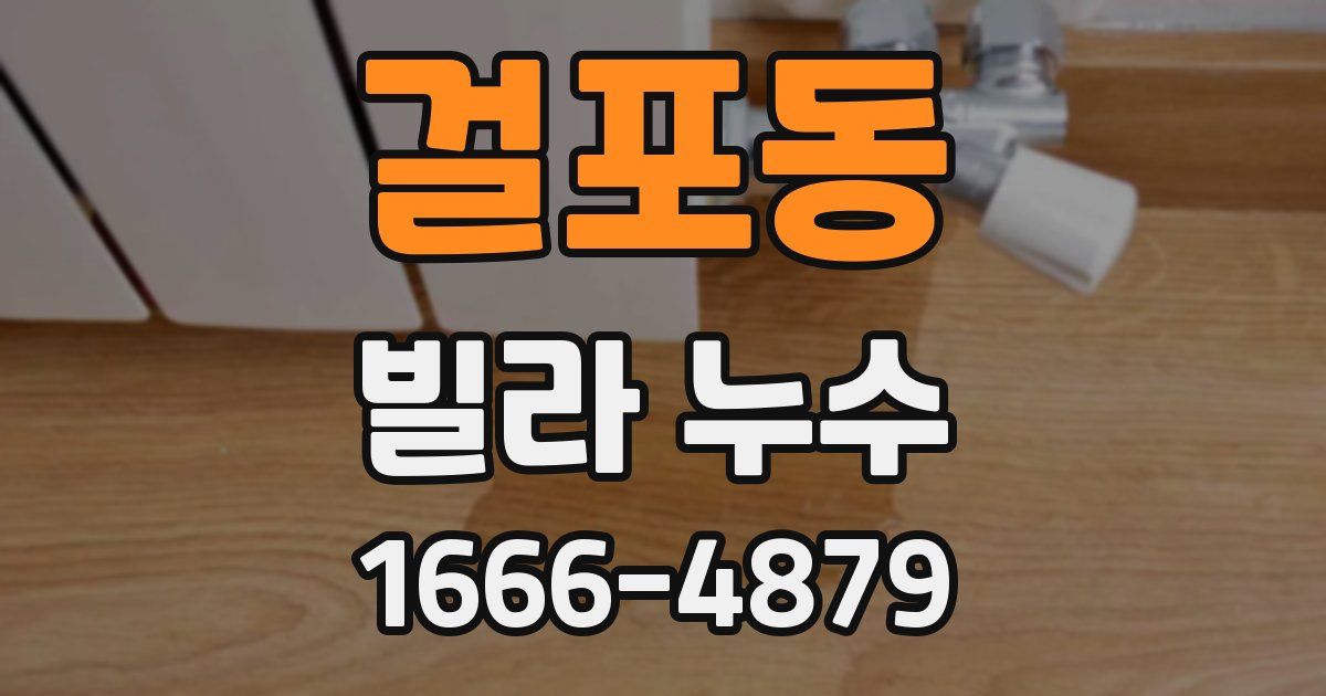 걸포동 빌라 누수