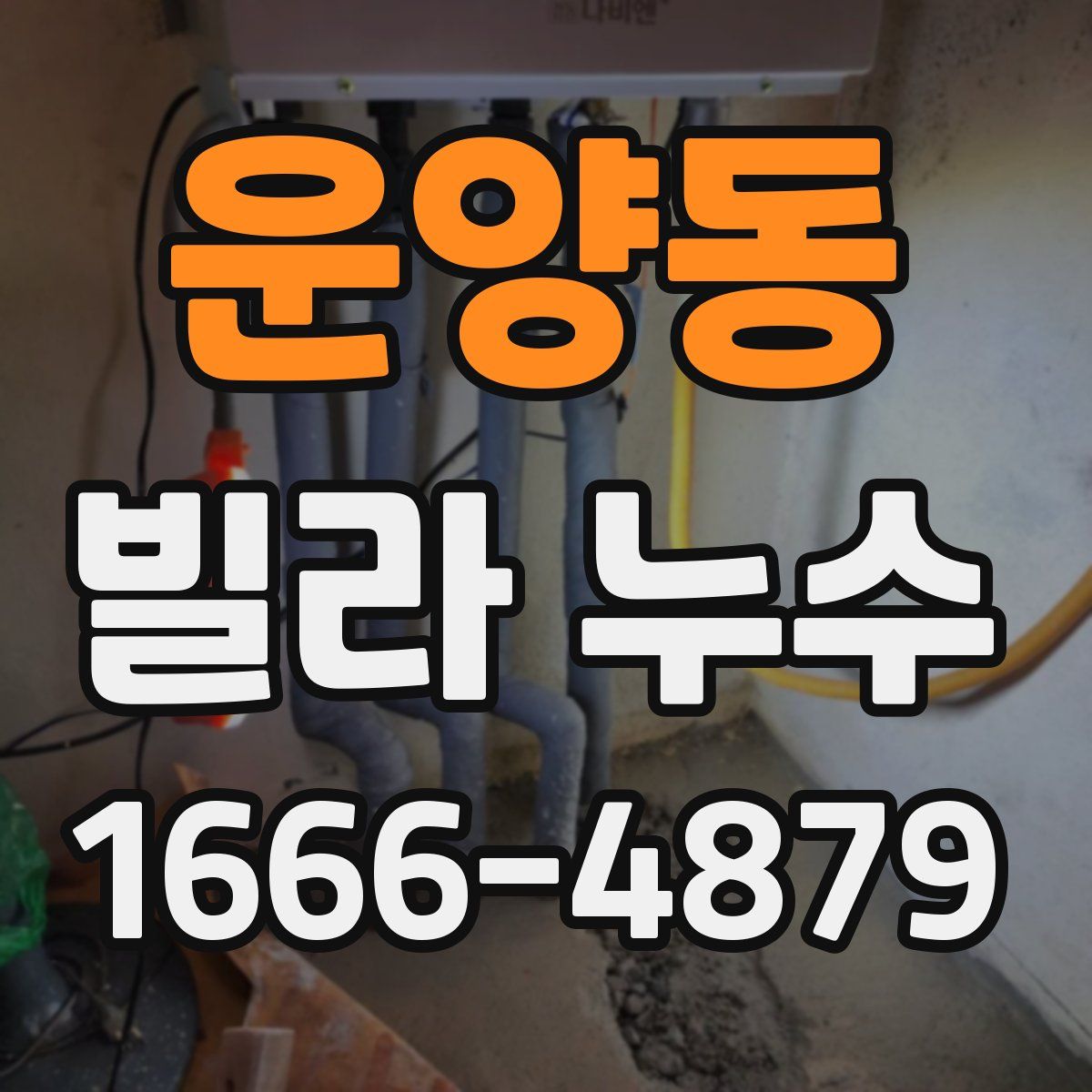 운양동 빌라 누수
