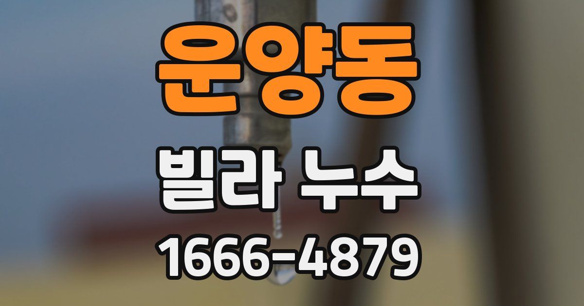 운양동 빌라 누수