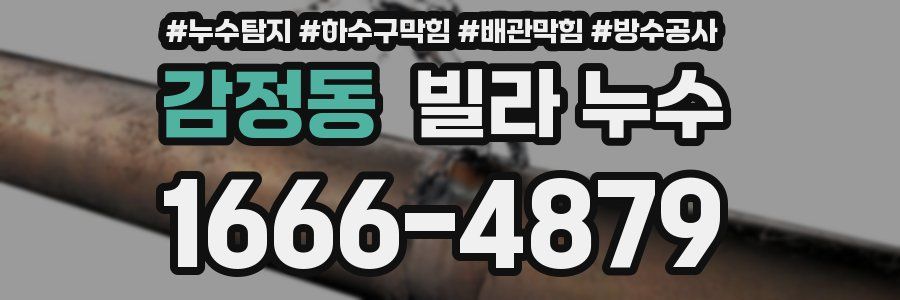 감정동 빌라 누수