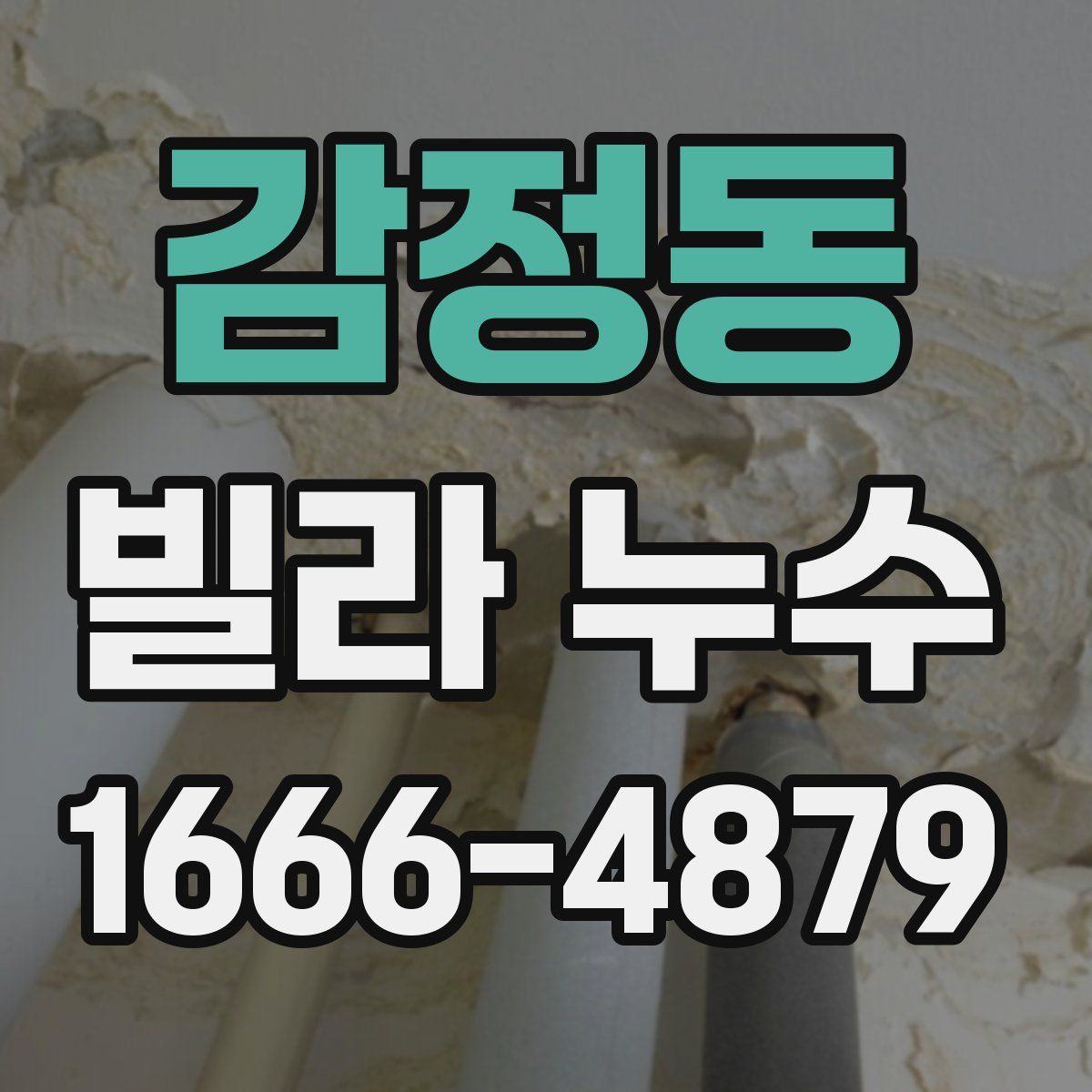 감정동 빌라 누수