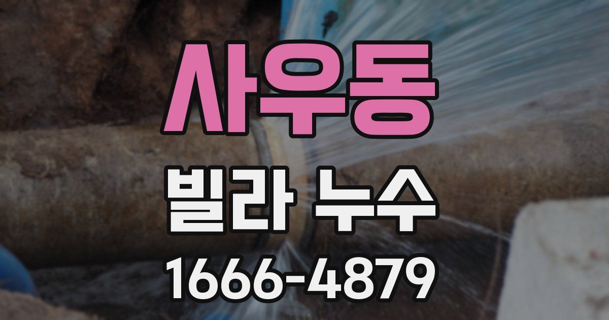 사우동 빌라 누수