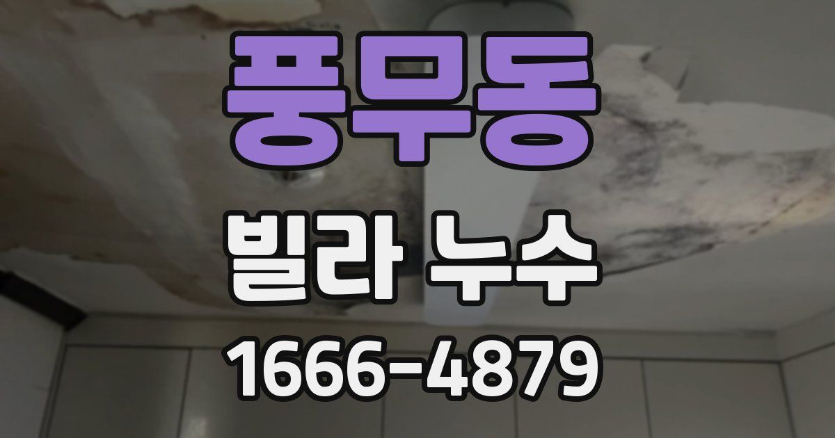 풍무동 빌라 누수