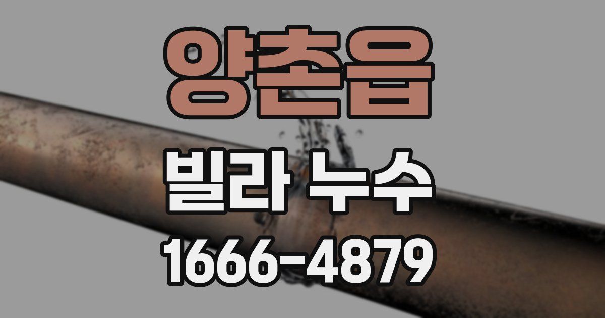 양촌읍 빌라 누수
