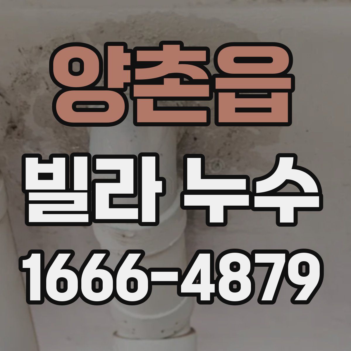 양촌읍 빌라 누수