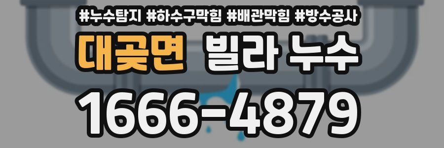 대곶면 빌라 누수