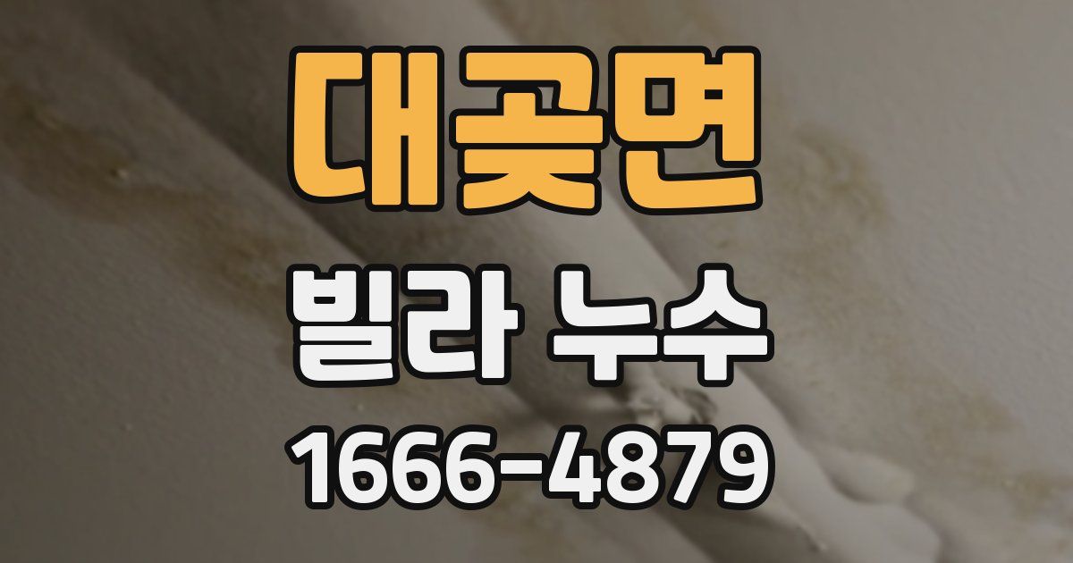 대곶면 빌라 누수