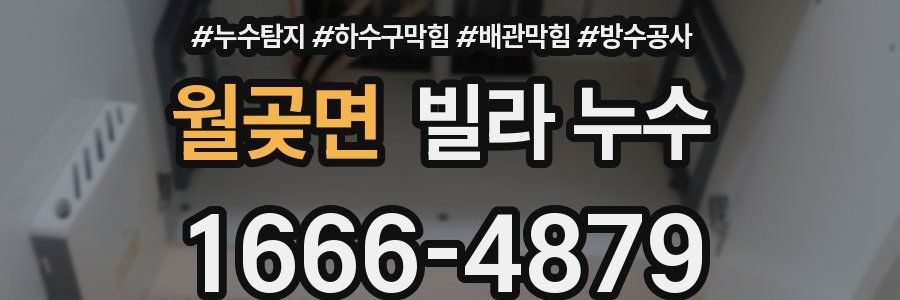 월곶면 빌라 누수
