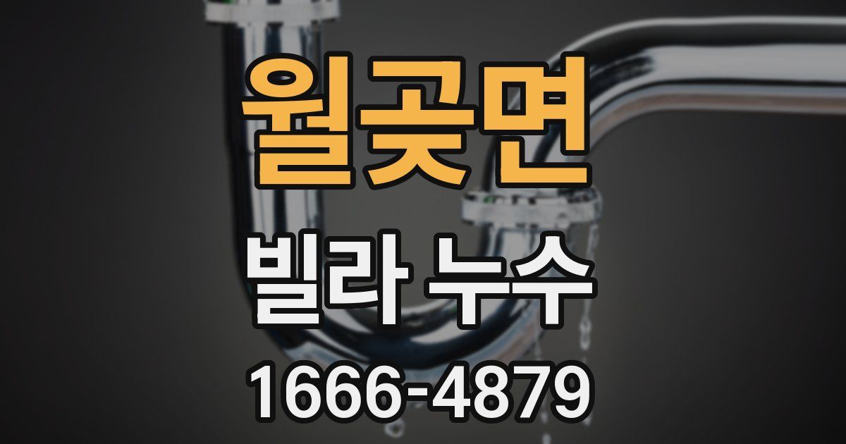 월곶면 빌라 누수