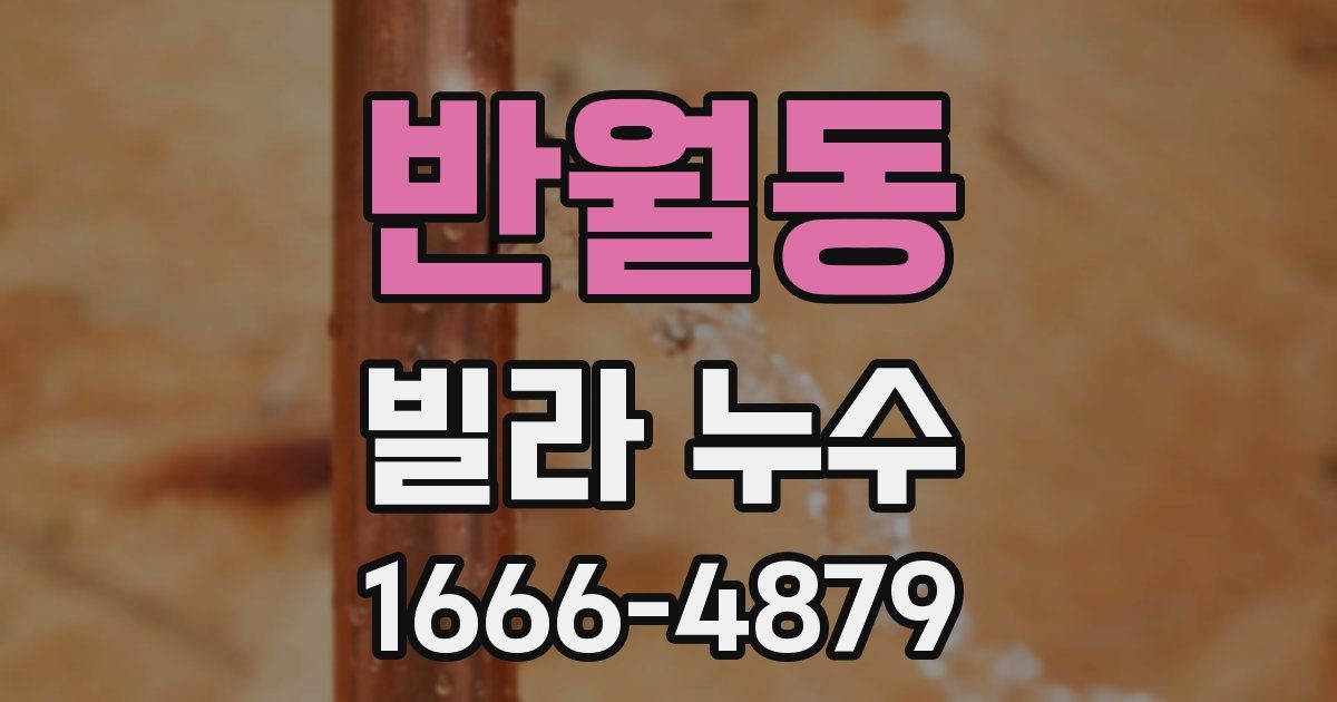 반월동 빌라 누수